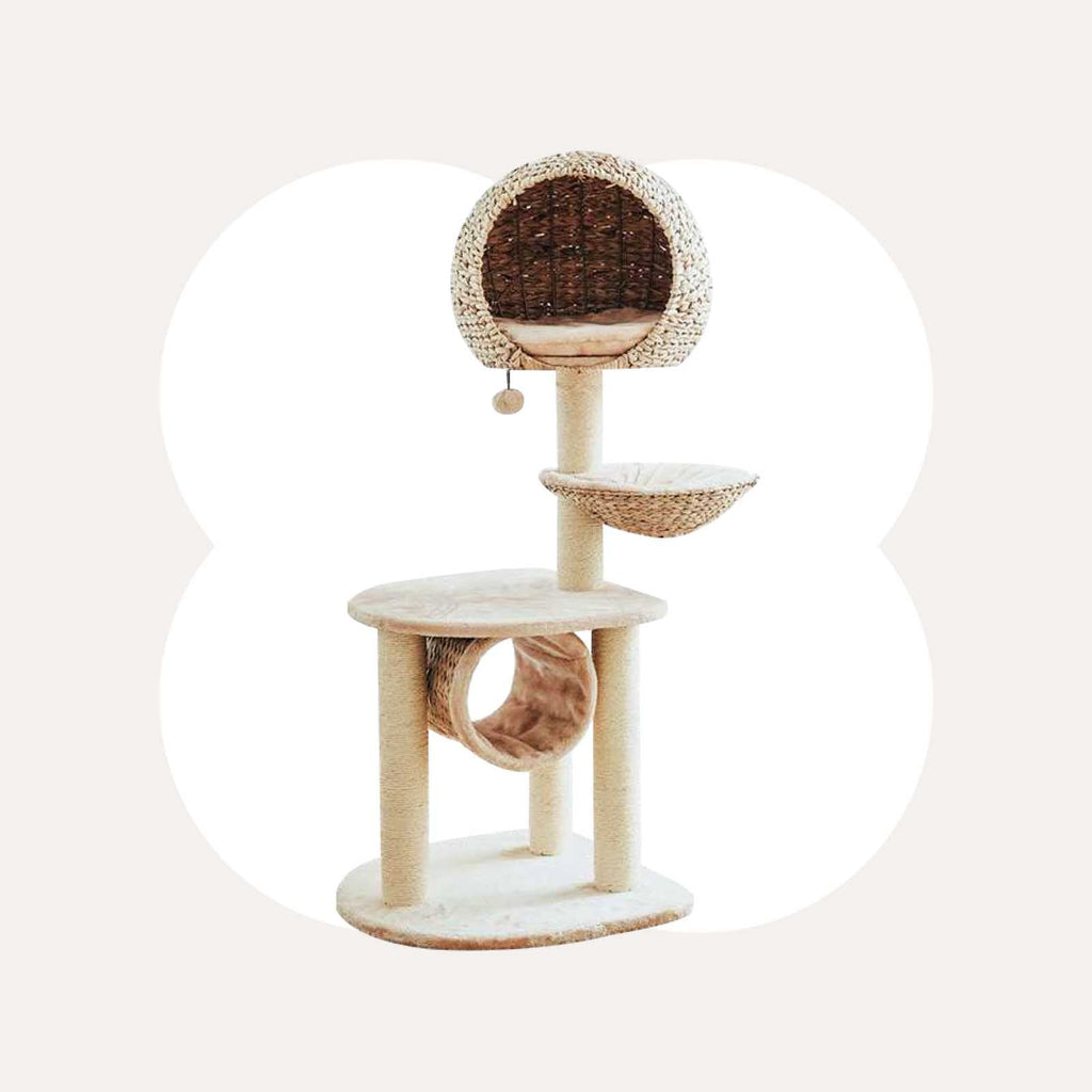 Dailypets Cat Tree Multi Level Rattan Cat Tree for Play and Rest