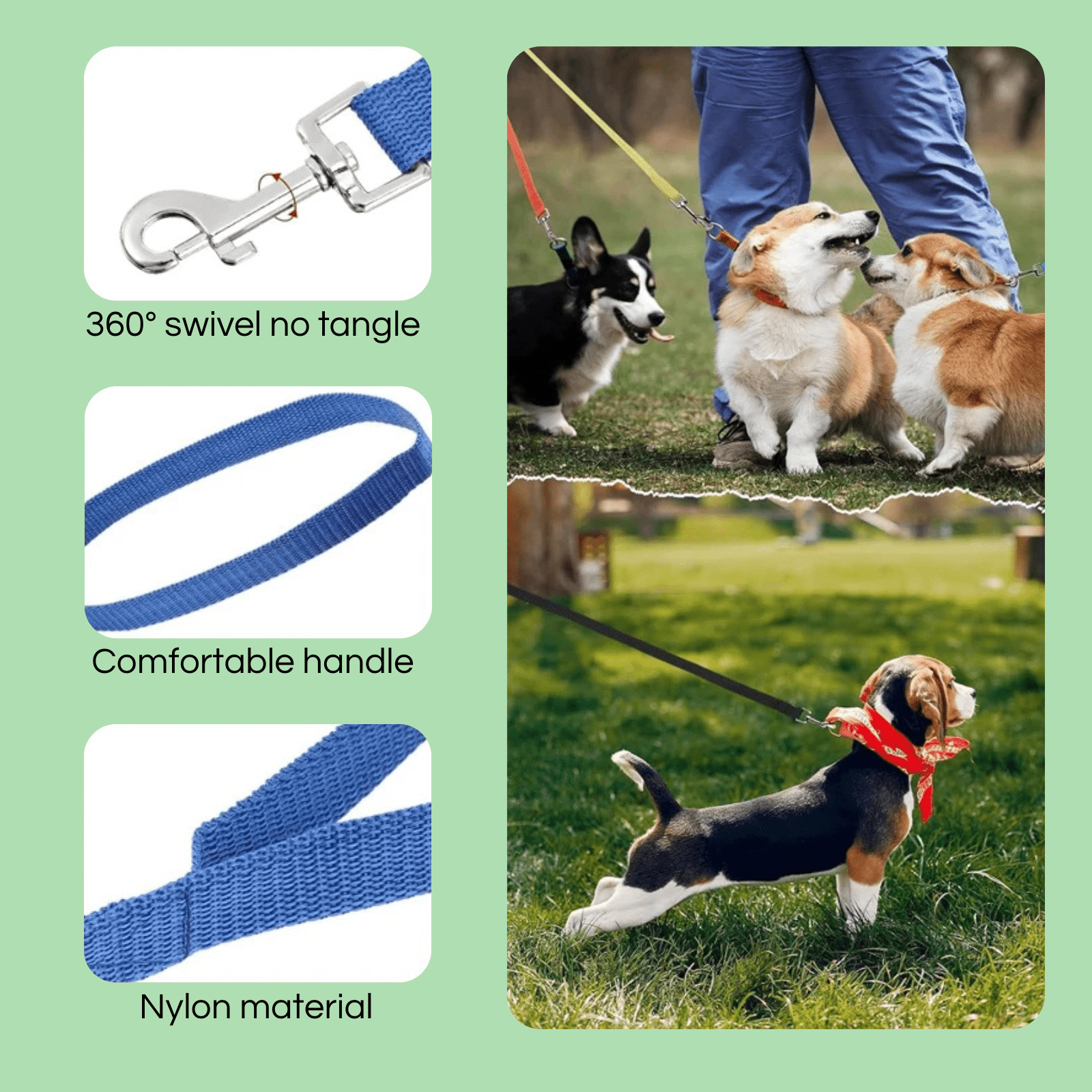 Dailypets Extra Long Nylon Dog Training Lead for Walking, Play, and Obedience Training