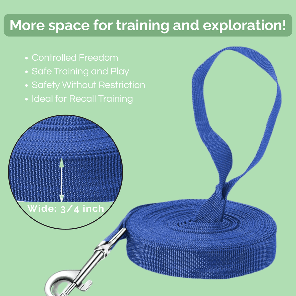 Dailypets Extra Long Nylon Dog Training Lead for Walking, Play, and Obedience Training