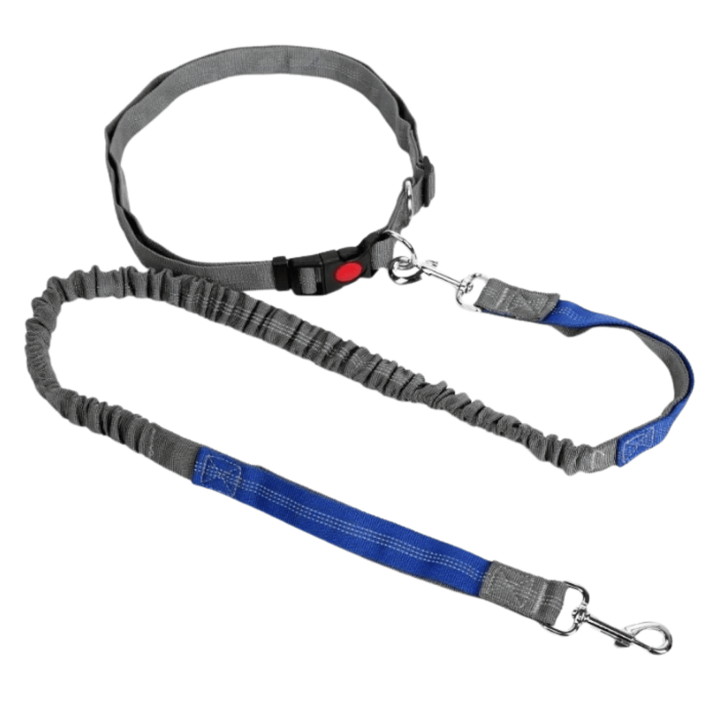 Dailypets Hands-Free Waist Dog Leash with Shock-Absorbing Bungee for Walking and Running