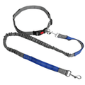 Dailypets Hands-Free Waist Dog Leash with Shock-Absorbing Bungee for Walking and Running