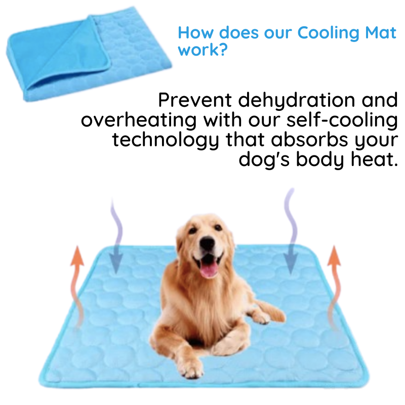 Dailypets Self-Cooling Pet Pad, Soft Waterproof Mat for Warm Days