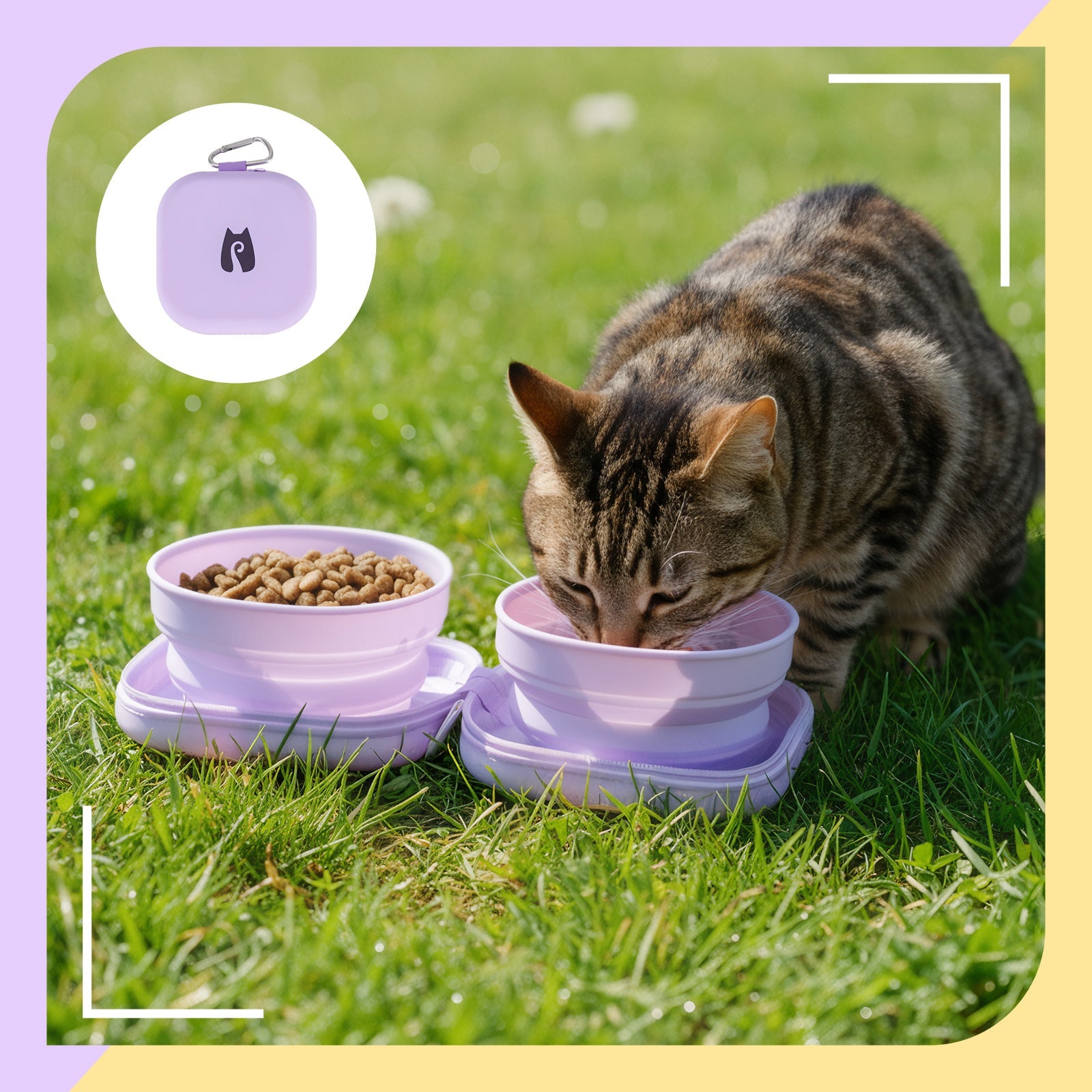 Dailypets Portable Cat Bowl Set for Outdoor Feeding
