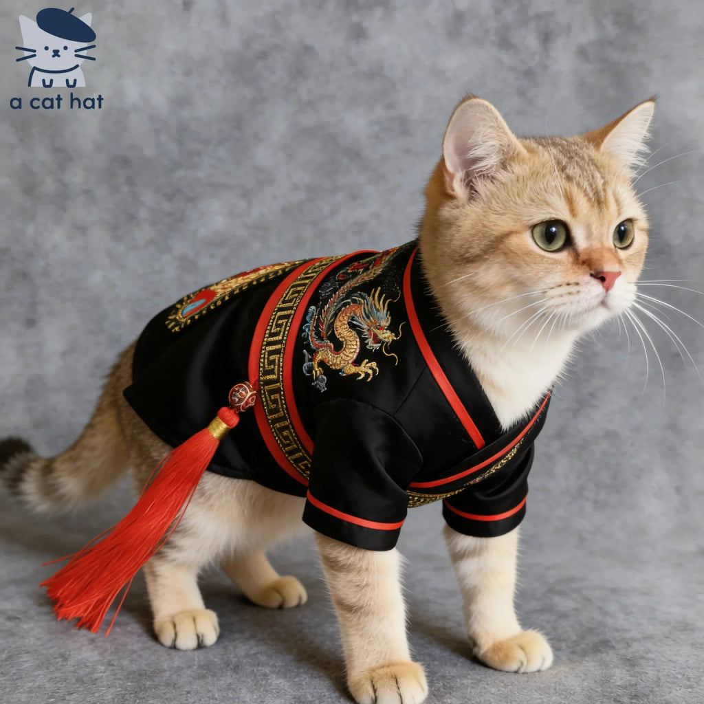 Dailypets Ancient Warrior Cat Costume with Traditional Hanfu-Inspired Design