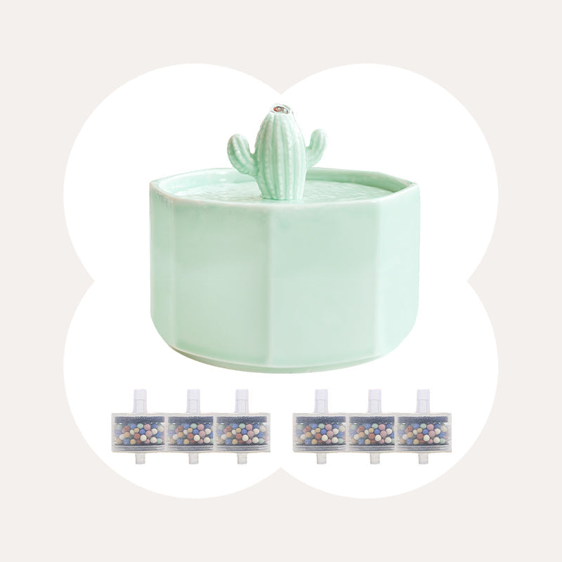 Dailypets Ceramic Cactus Cat Water Fountain 50oz with Automatic Filtration