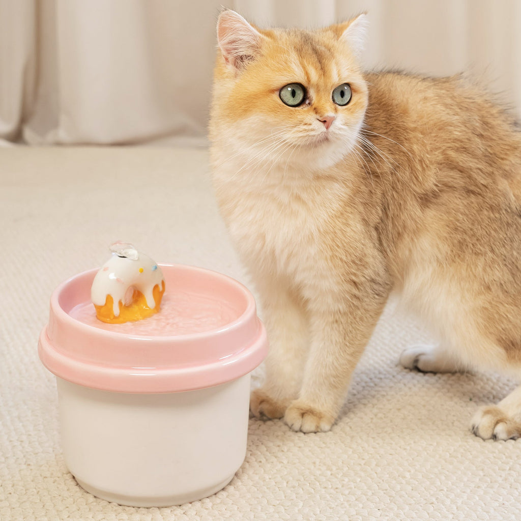 Dailypets Donut Style Ceramic Cat Water Fountain 42oz with Automatic Filtration