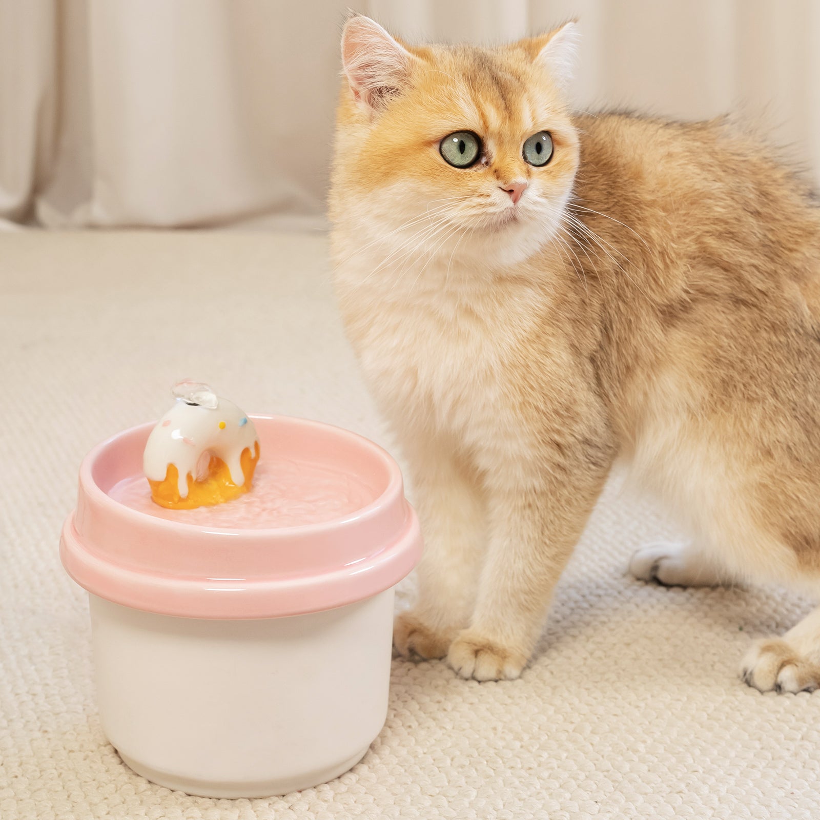 Dailypets Donut Style Ceramic Cat Water Fountain 42oz with Automatic Filtration