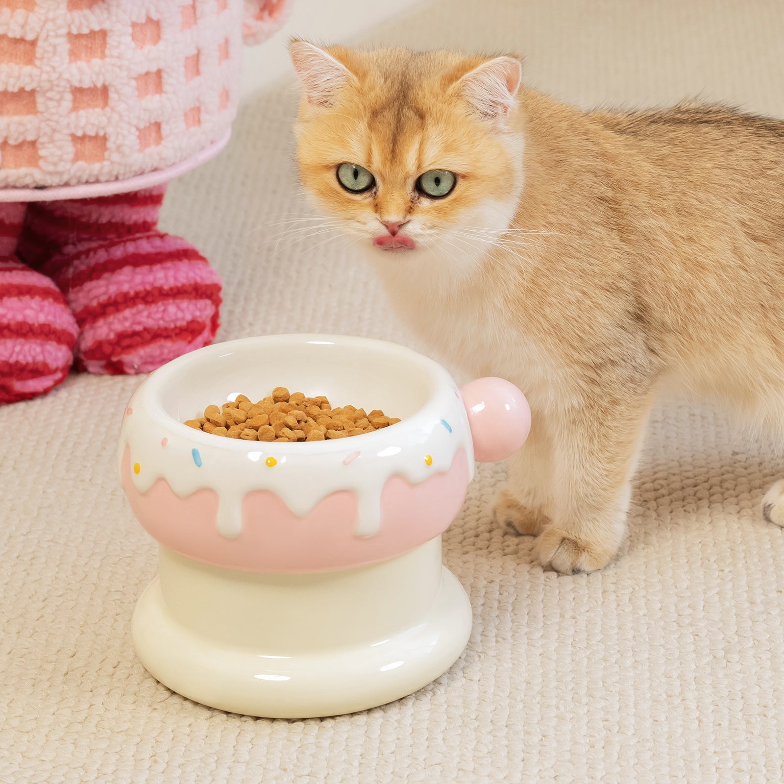 Dailypets Cute Ceramic Cat Bowl Set for Daily Meals