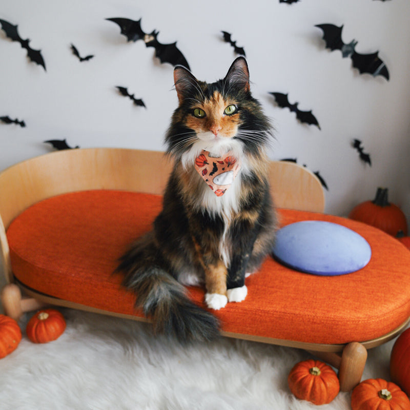Dailypets Elevated Cat Sofa with Curved Wooden Backrest