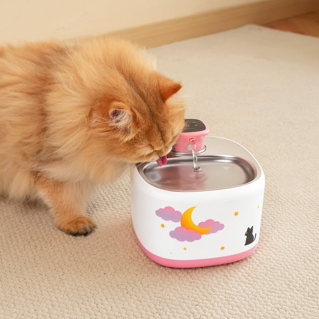 Dailypets Wireless Pet Water Fountain with Motion Sensor and Stainless Steel Tray