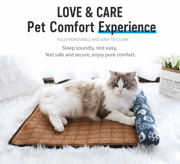 Dailypets Summer Cooling Rattan Pet Mat with Bolster Pillow for Cats