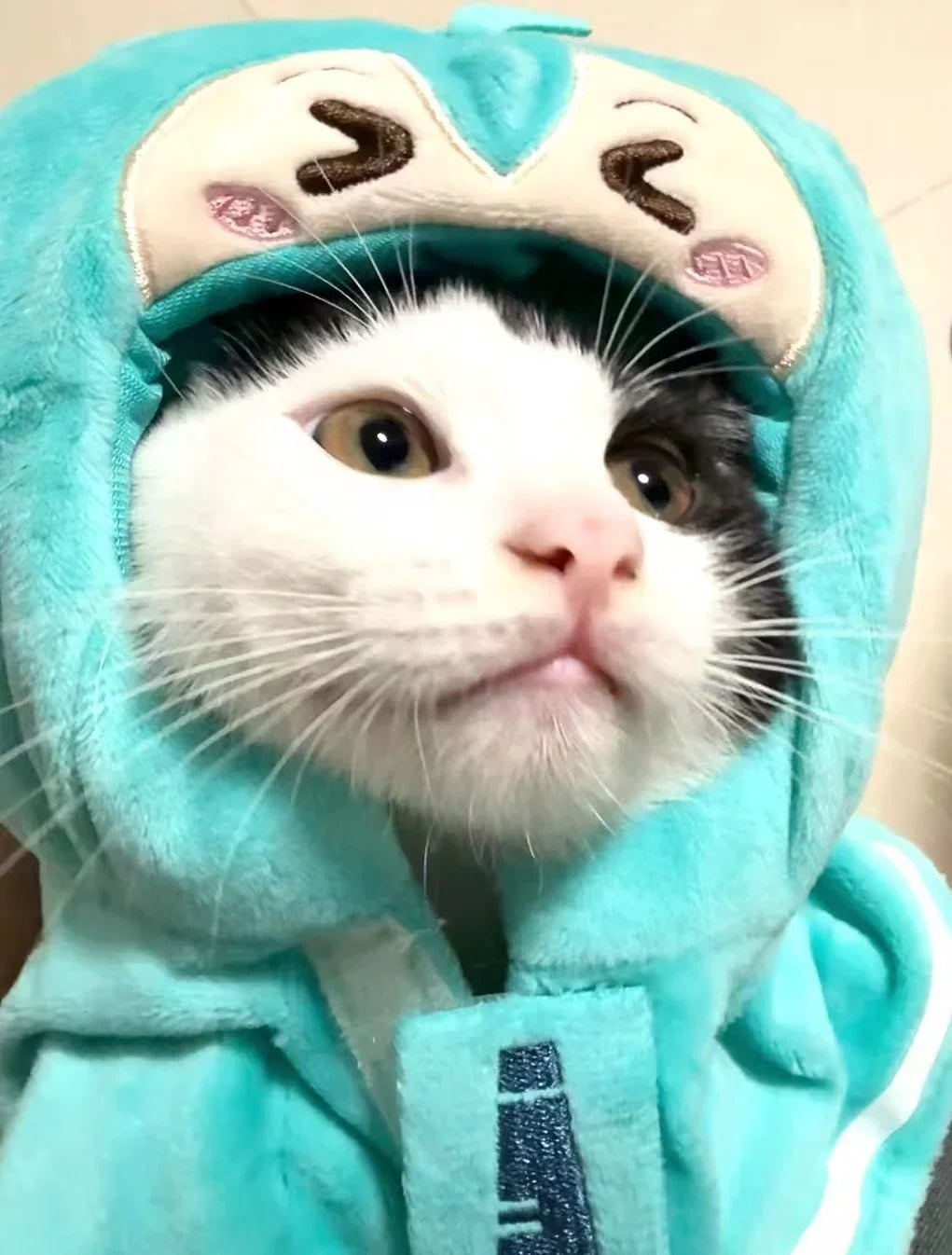 Dailypets Character-Inspired Cat Shawl with Soft Fabric and Mint Green Design