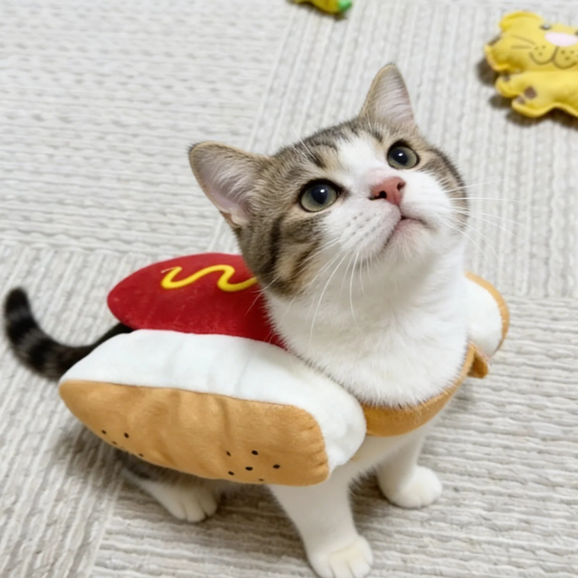 Dailypets Cute Hot Dog Cat Outfit for Photos, Parties and Everyday Fun