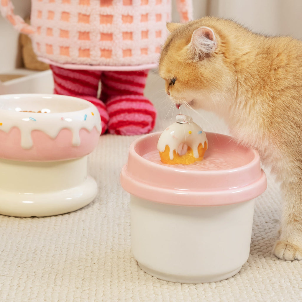 Dailypets Cute Ceramic Cat Bowl Set for Daily Meals