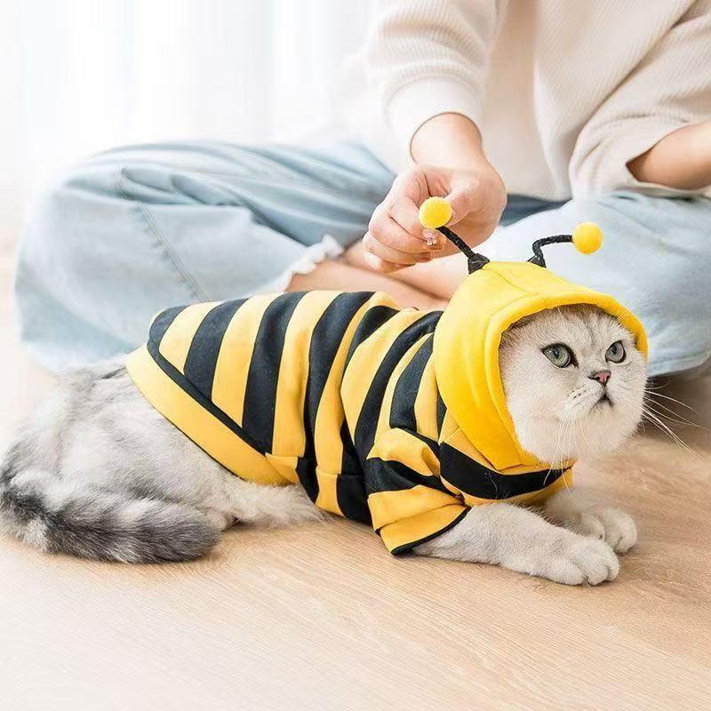 Dailypets Bumble Bee Cat Hoodie for Indoor Cats with Cozy Everyday Comfort