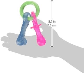Dailypets Puppy Teething Chew Toy with Gum Massaging Texture and Bacon Flavor