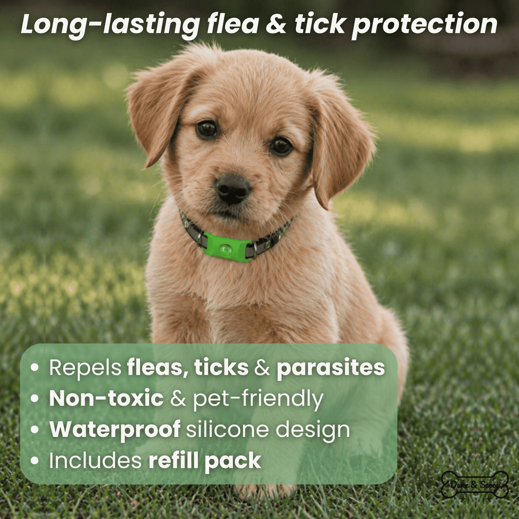 Dailypets Silicone Flea and Tick Collar for Dogs and Cats with Adjustable Waterproof Fit