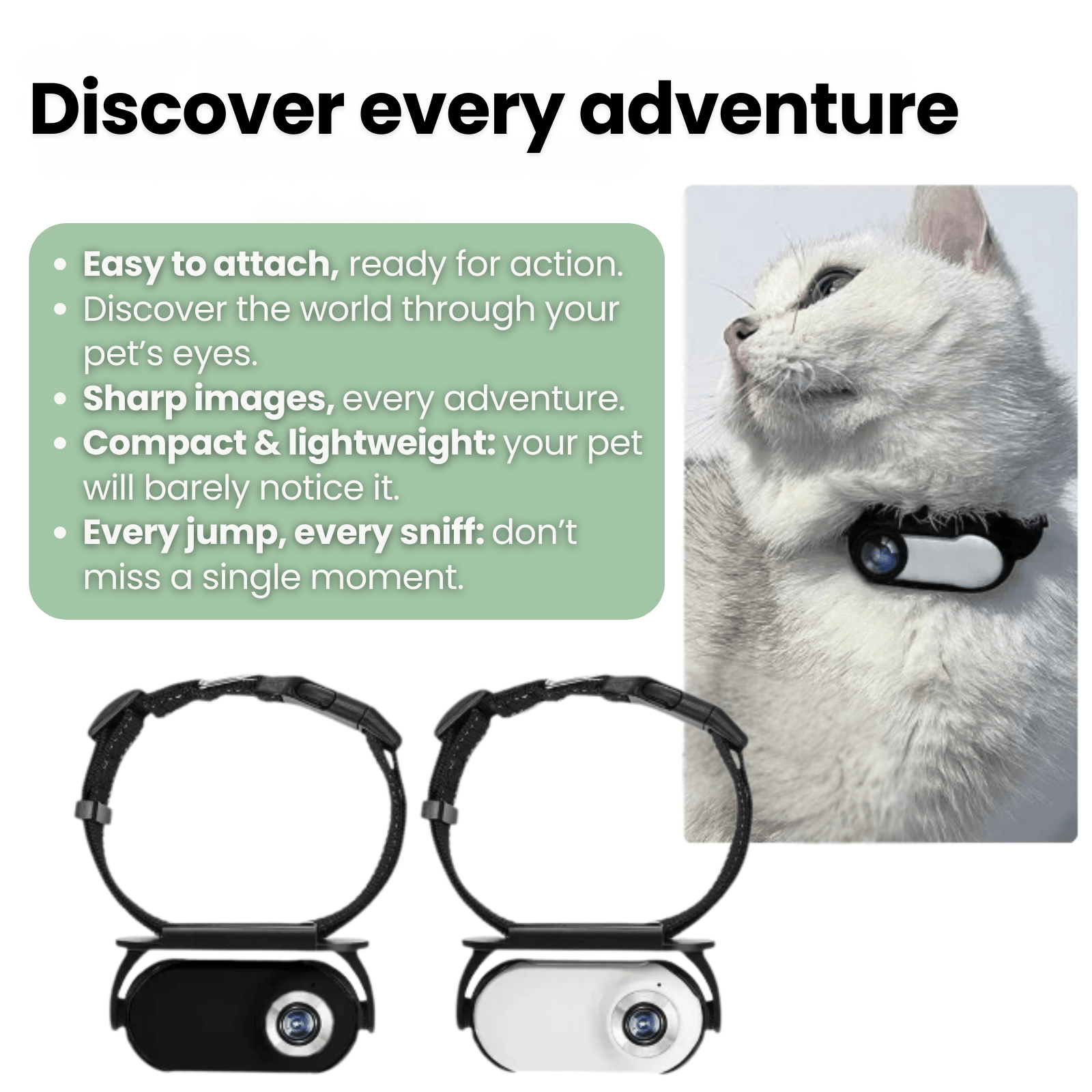 Dailypets Wearable Pet Collar Camera with 1080P Video and Compact Lightweight Design
