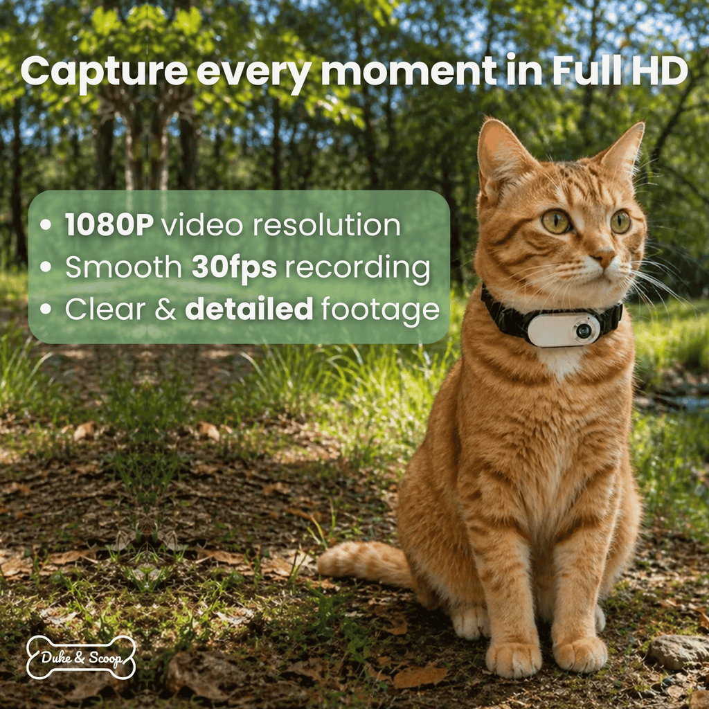 Dailypets Wearable Pet Collar Camera with 1080P Video and Compact Lightweight Design