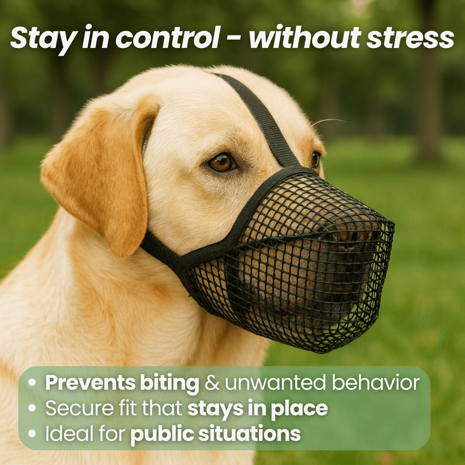 Dailypets Breathable Soft Dog Muzzle with Adjustable Mesh Fit for Everyday Comfort