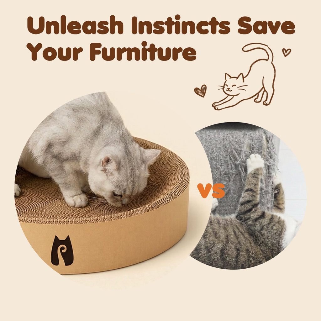 Dailypets Circular Cat Scratching Bed for Indoor Cats