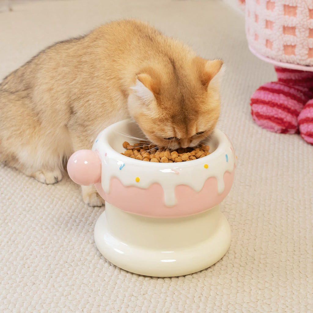 Dailypets Cute Ceramic Cat Bowl Set for Daily Meals