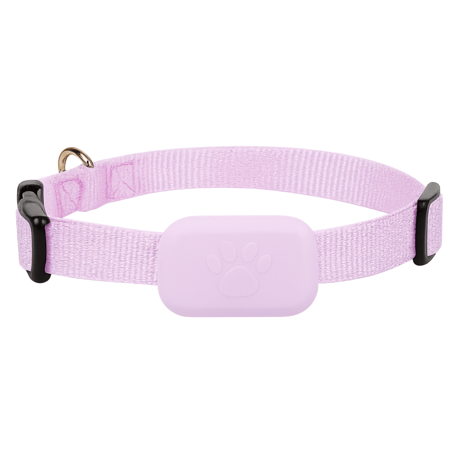 Dailypets Bluetooth Pet Locator for Apple Devices with Real-Time Find My Integration