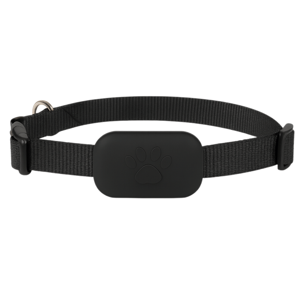 Dailypets Bluetooth Pet Locator for Apple Devices with Real-Time Find My Integration