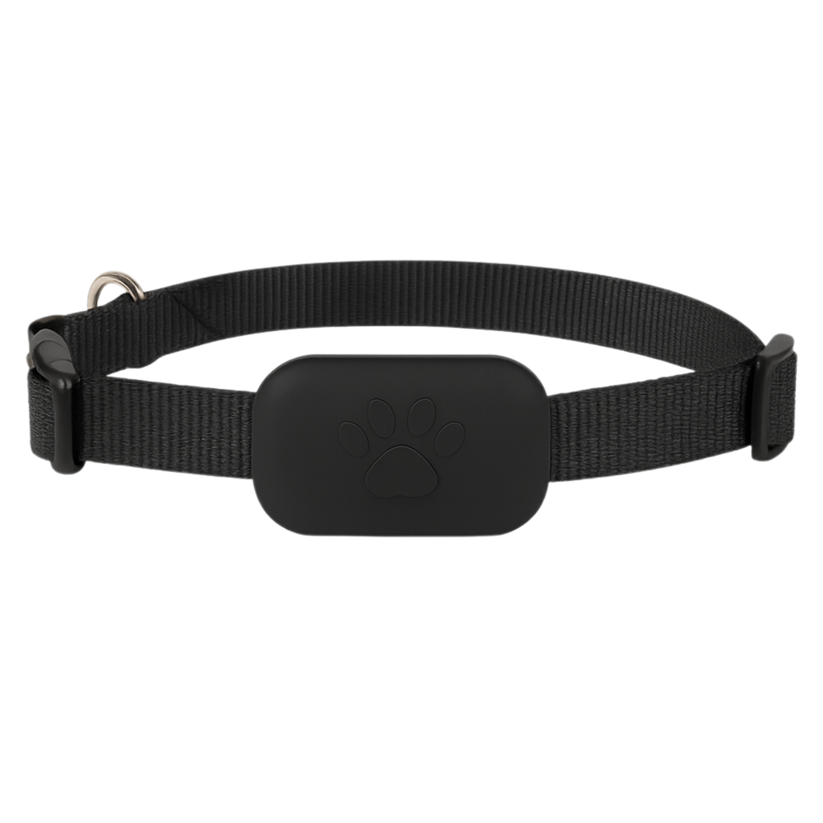 Dailypets Bluetooth Pet Locator for Apple Devices with Real-Time Find My Integration