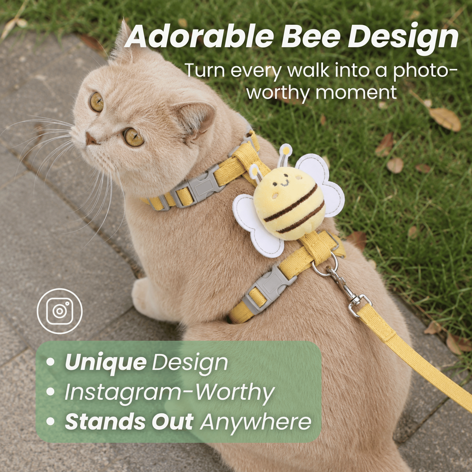 Dailypets Bee Print Cat Harness and Leash Set for Comfortable Outdoor Adventures Daily