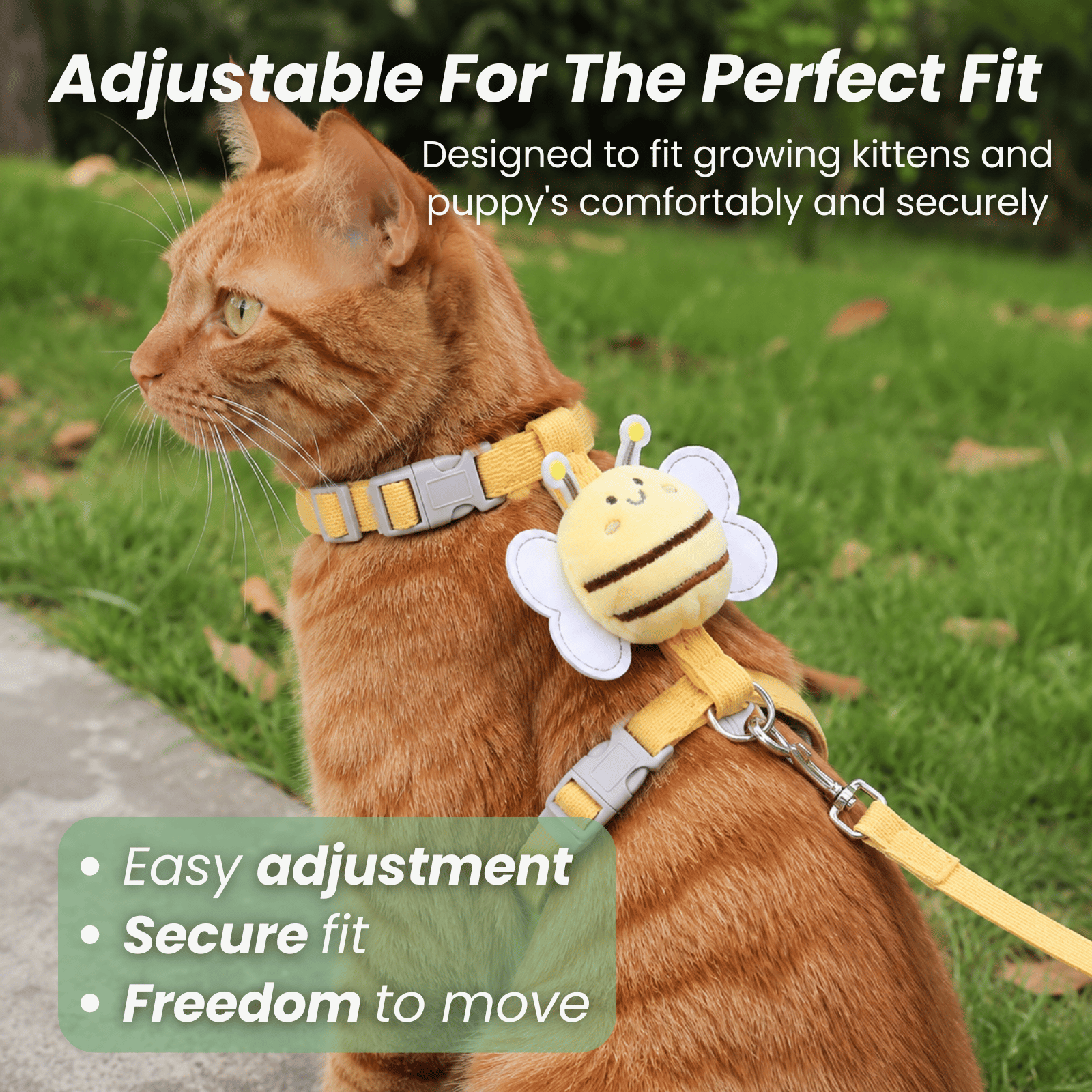 Dailypets Bee Print Cat Harness and Leash Set for Comfortable Outdoor Adventures Daily