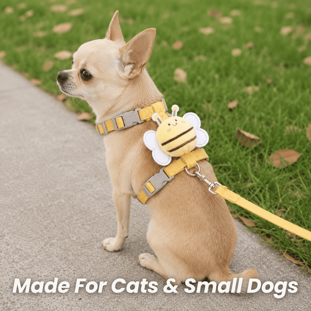 Dailypets Bee Print Cat Harness and Leash Set for Comfortable Outdoor Adventures Daily