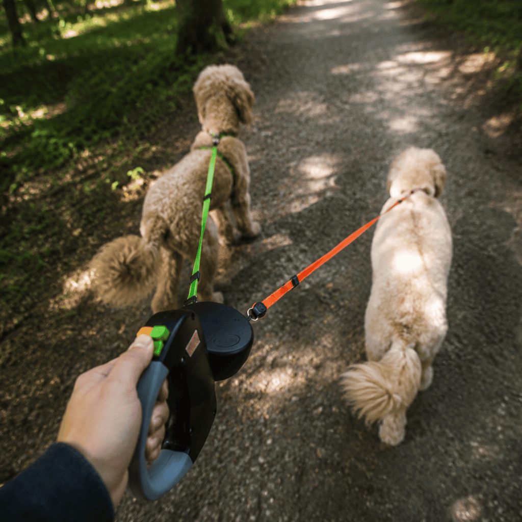 Dailypets Dual Retractable Dog Leash with Anti-Twist System for Two Small and Medium Dogs