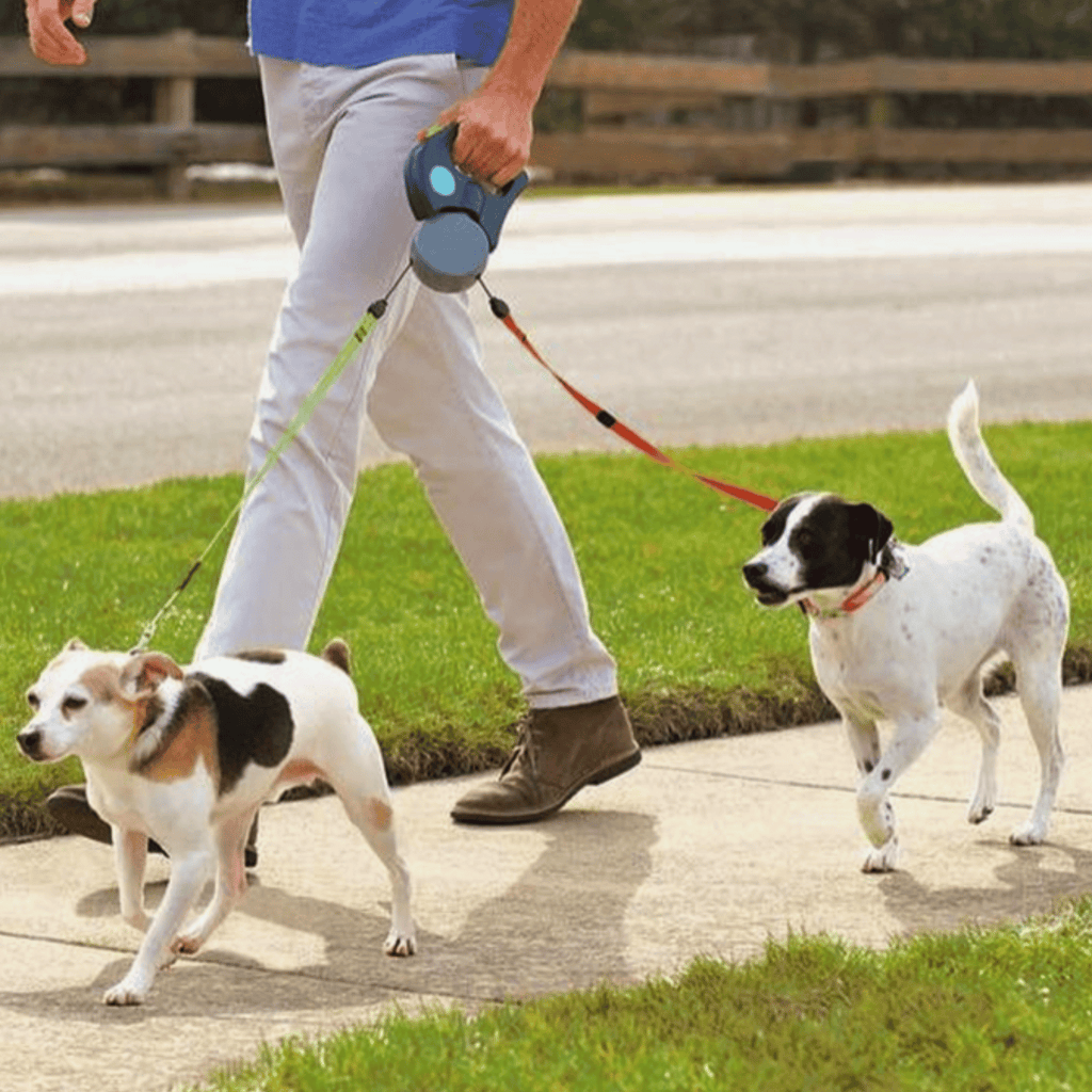 Dailypets Dual Retractable Dog Leash with Anti-Twist System for Two Small and Medium Dogs