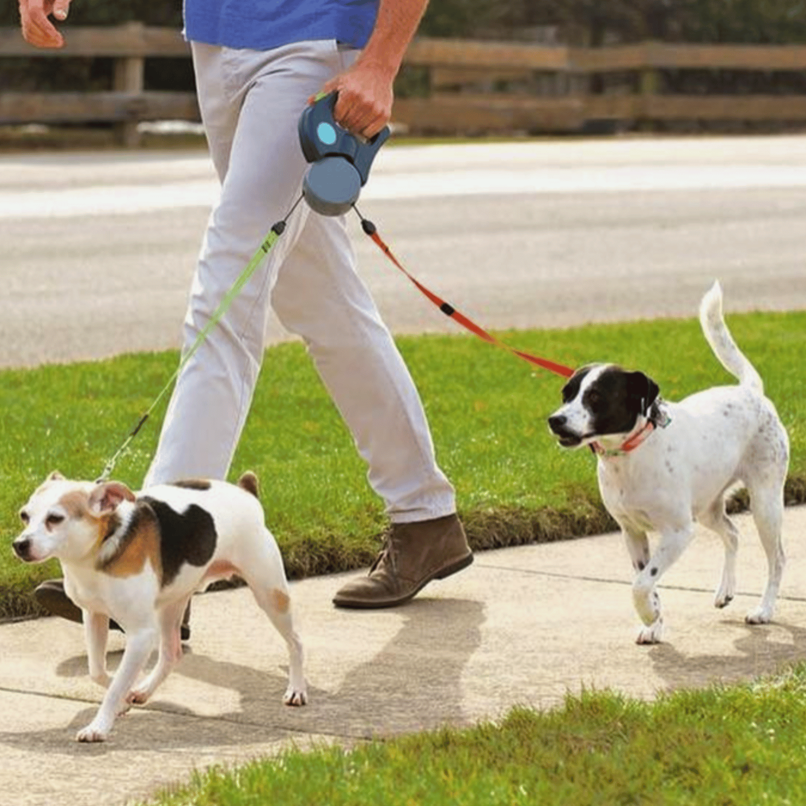 Dailypets Dual Retractable Dog Leash with Anti-Twist System for Two Small and Medium Dogs
