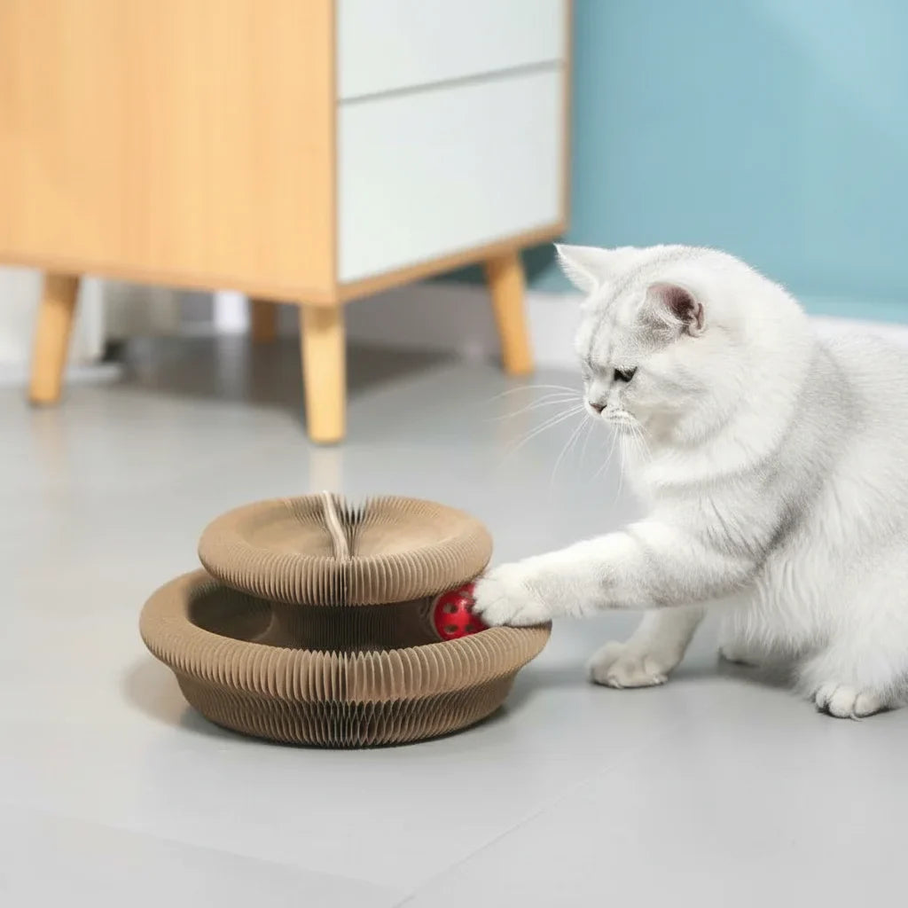 Dailypets Round Cardboard Scratcher for Pets with Rolling Ball Track and Resting Area