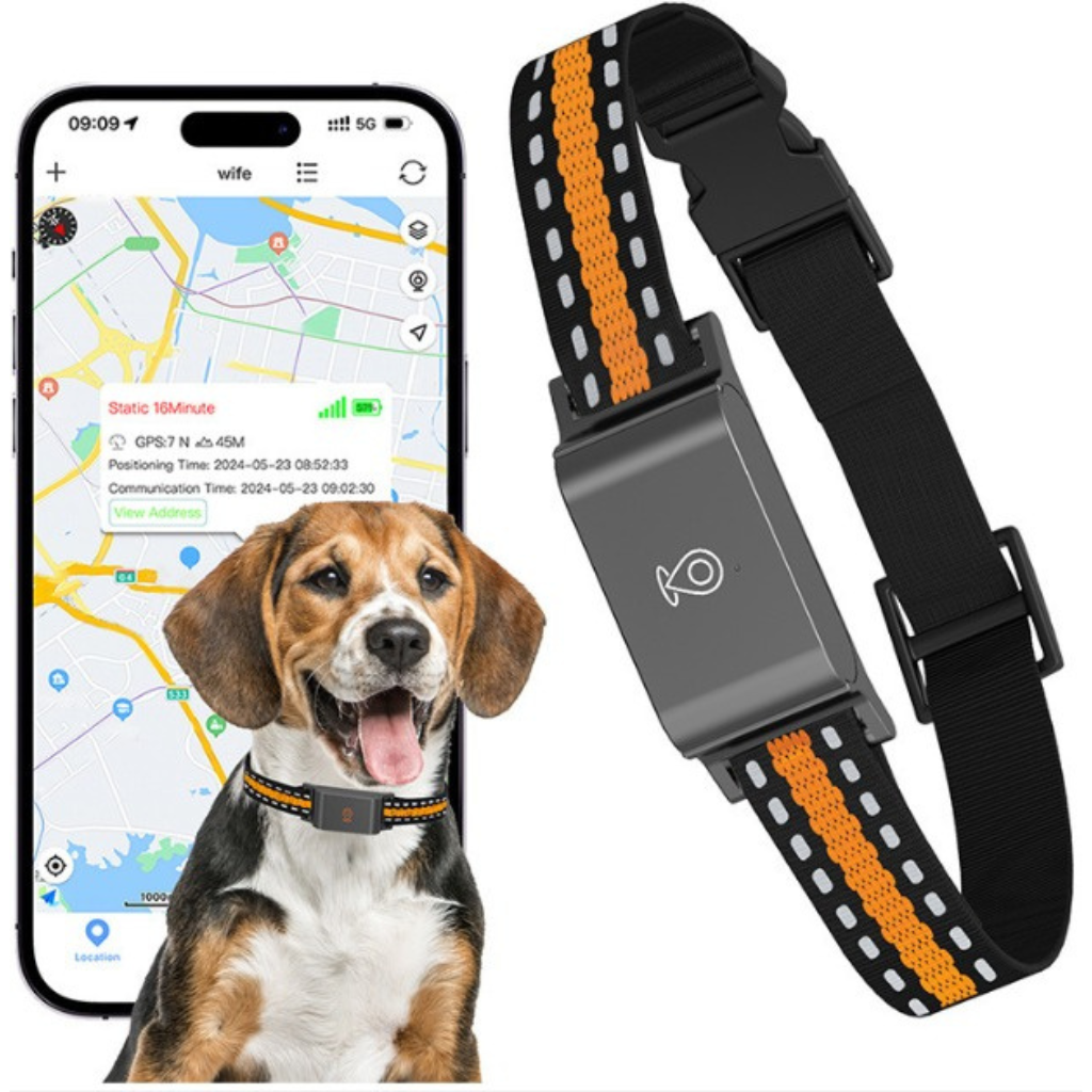 Dailypets Waterproof 4G GPS Pet Tracker with Real-Time Tracking and Adjustable Collar