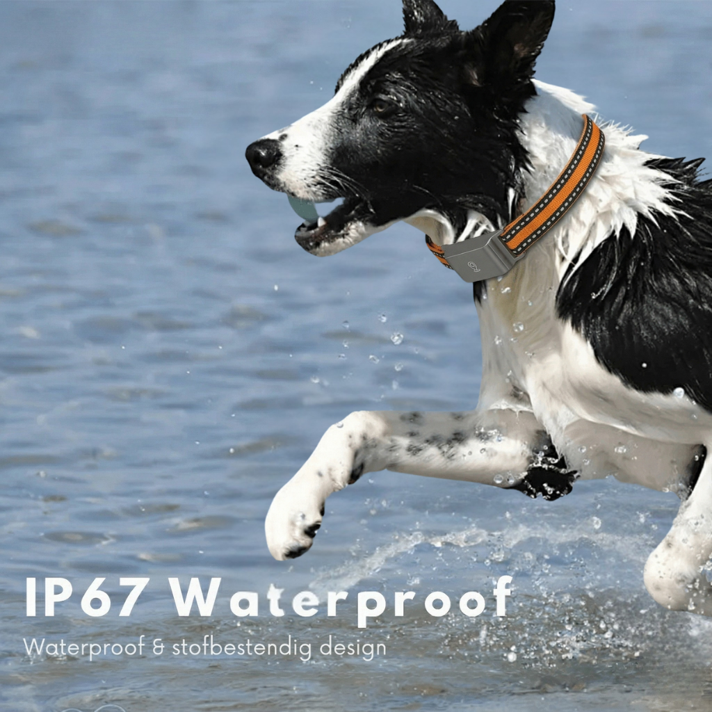 Dailypets Waterproof 4G GPS Pet Tracker with Real-Time Tracking and Adjustable Collar