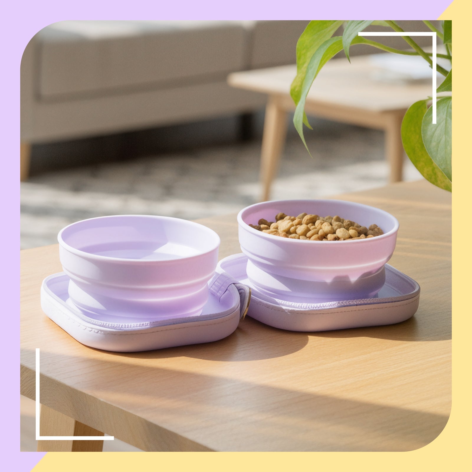 Dailypets Portable Cat Bowl Set for Outdoor Feeding