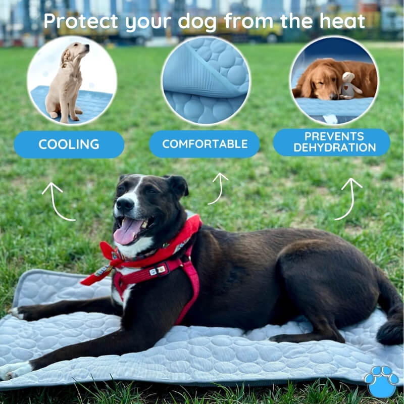 Dailypets Self-Cooling Pet Pad, Soft Waterproof Mat for Warm Days