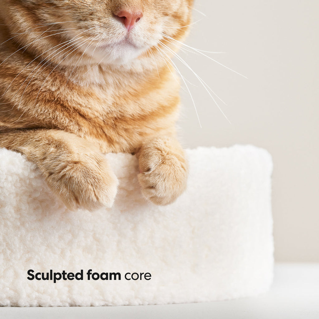 Dailypets Soft Cat Nest Bed – Faux Shearling Round Cushion