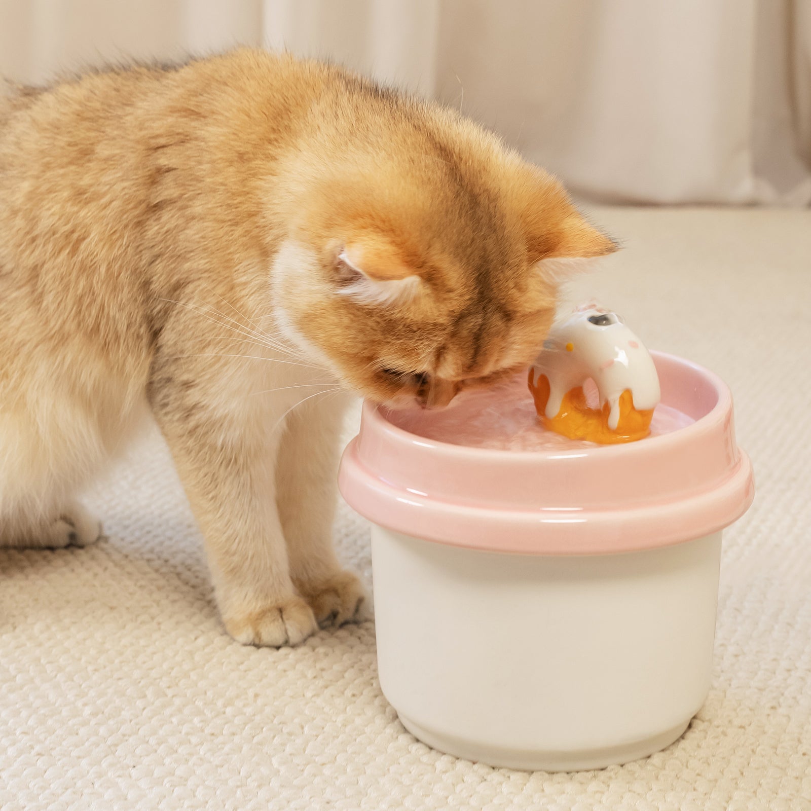Dailypets Donut Style Ceramic Cat Water Fountain 42oz with Automatic Filtration