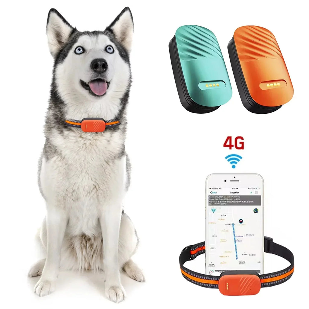 Dailypets 4G GPS Pet Tracker with Two-Way Audio and Worldwide Real-Time Tracking