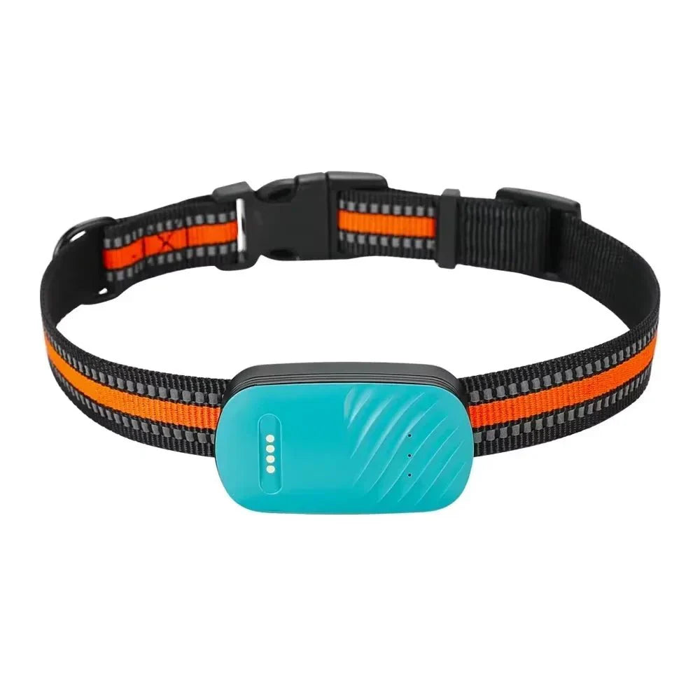 Dailypets 4G GPS Pet Tracker with Two-Way Audio and Worldwide Real-Time Tracking
