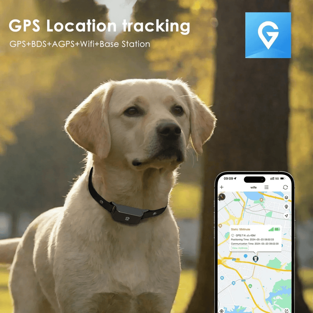 Dailypets Waterproof 4G GPS Pet Tracker with Real-Time Tracking and Adjustable Collar