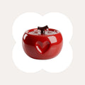 Dailypets Ceramic Apple Cat Water Fountain 50oz with Flowing Water Design