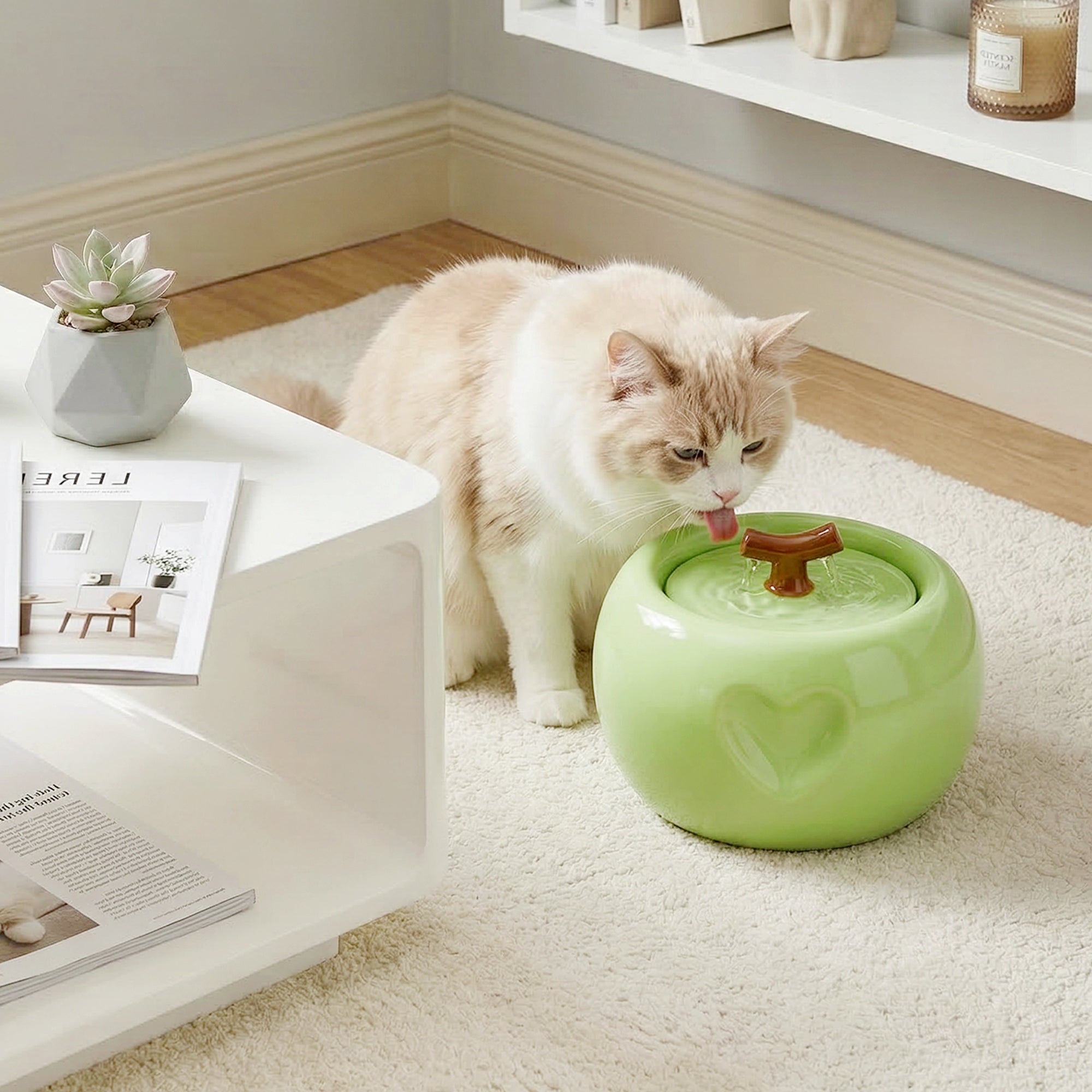 Dailypets Ceramic Apple Cat Water Fountain 50oz with Flowing Water Design