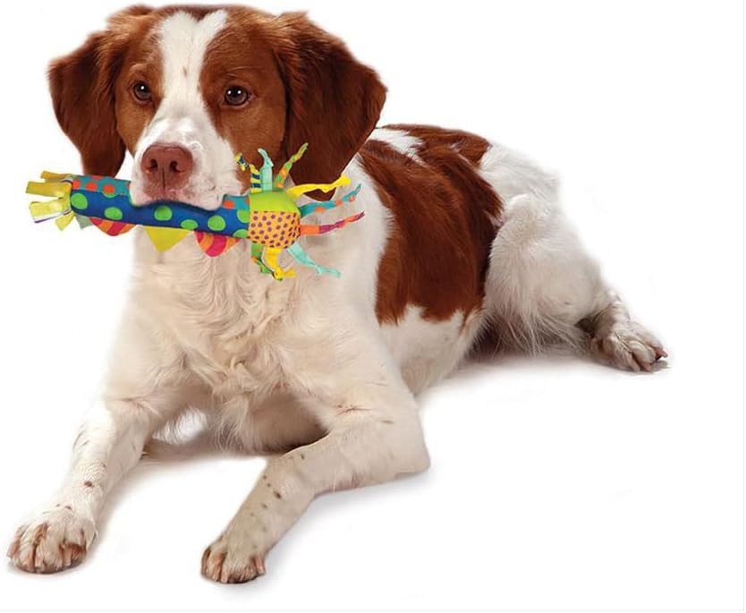 Dailypets Freezable Puppy Teething Stick Toy for Cooling Chew Relief and Gentle Play