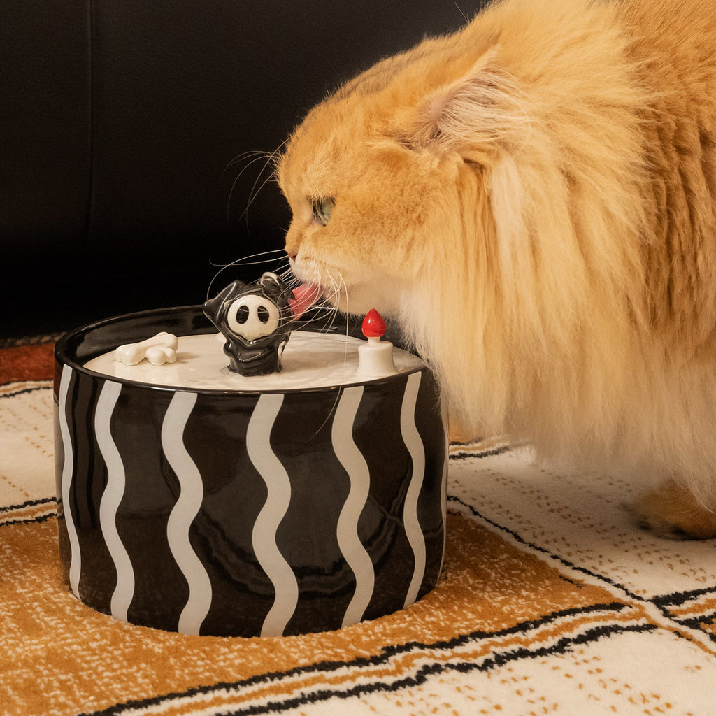 Dailypets Ceramic Pet Water Fountain 50oz with Five-Stage Filtration