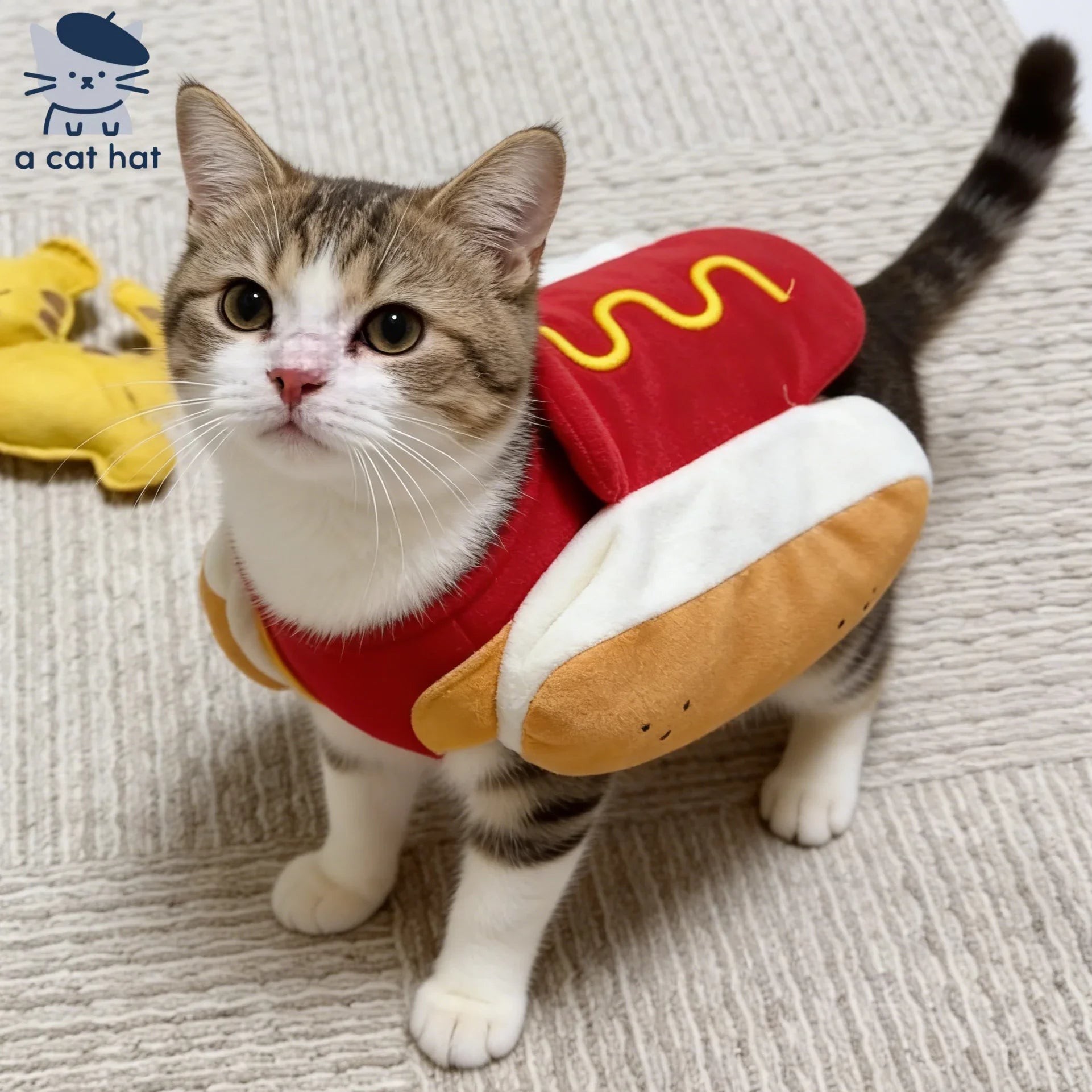 Dailypets Cute Hot Dog Cat Outfit for Photos, Parties and Everyday Fun